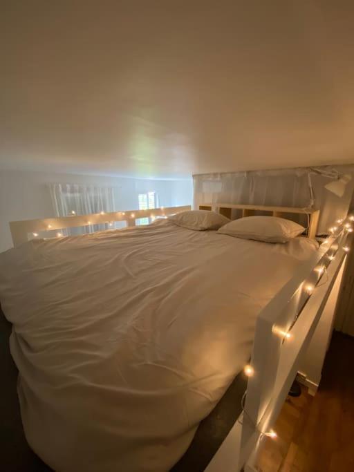 Appartement De Charme Pres Du Stade De France Σαιν-Ντενί Εξωτερικό φωτογραφία